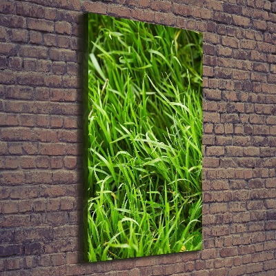 Wall canvas art Grass