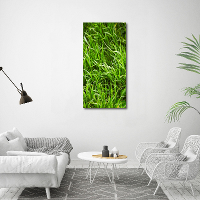 Wall canvas art Grass