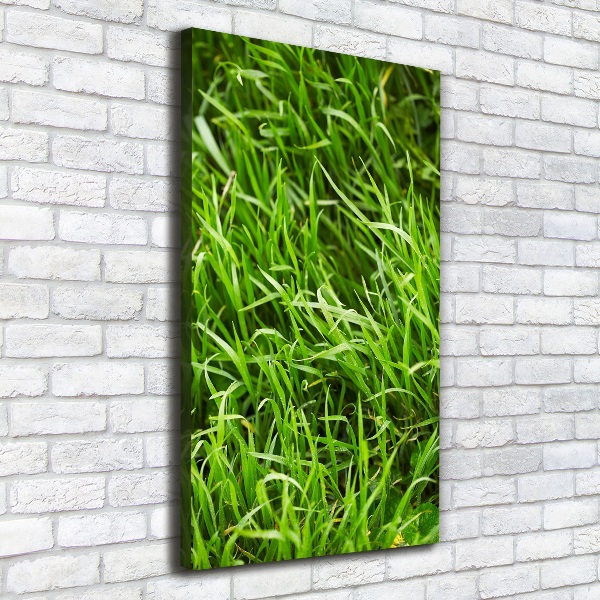 Wall canvas art Grass