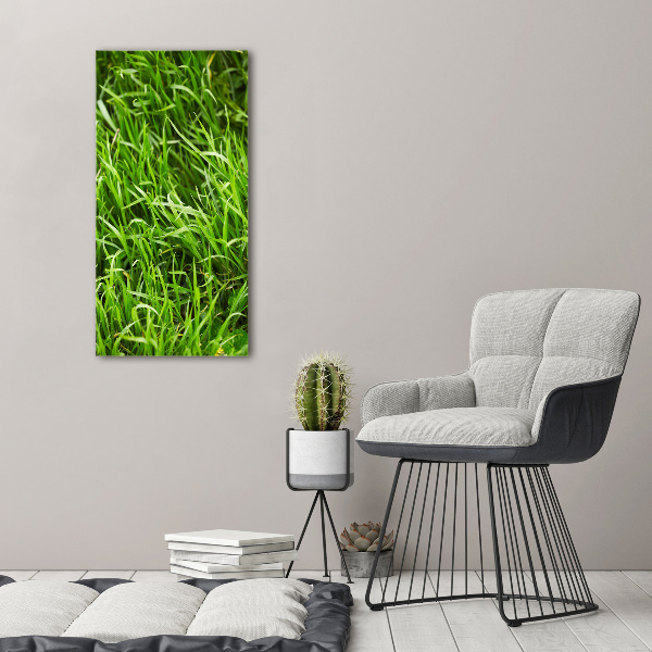 Wall canvas art Grass