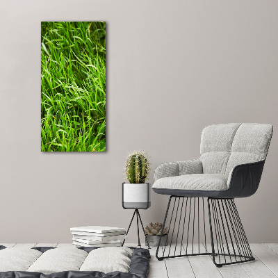 Wall canvas art Grass