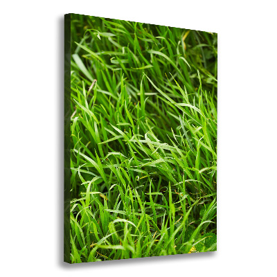 Wall canvas art Grass