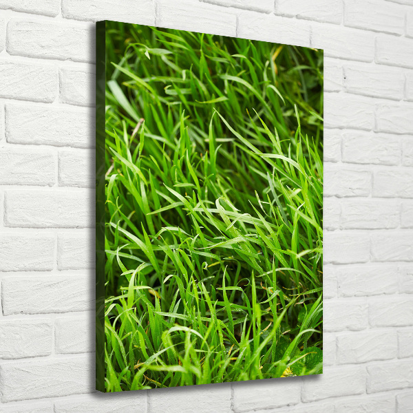 Wall canvas art Grass