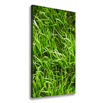 Wall canvas art Grass