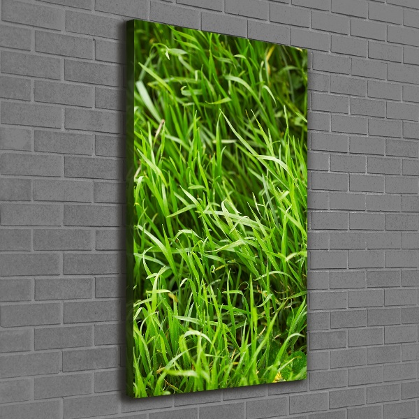 Wall canvas art Grass