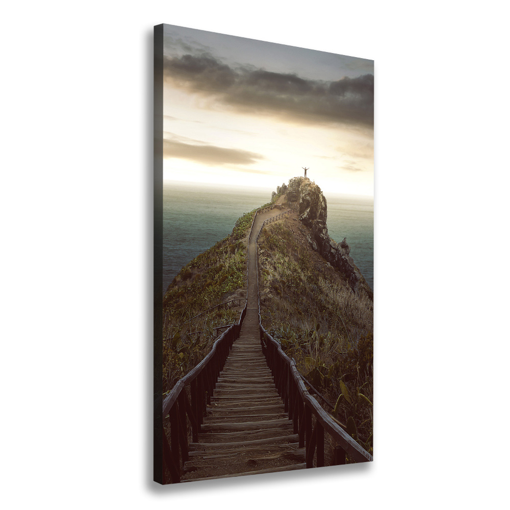 Large canvas wall art Path on the rock