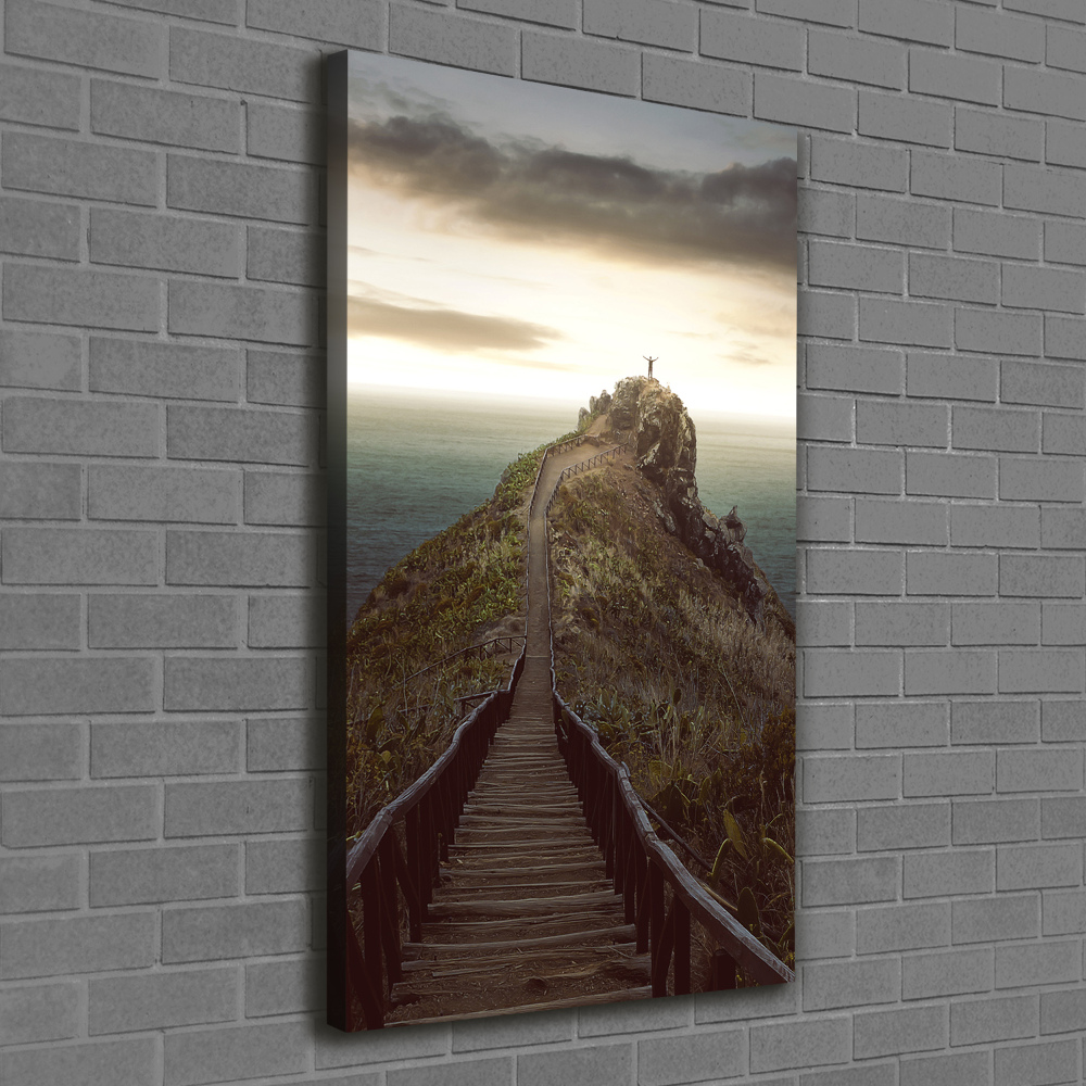 Large canvas wall art Path on the rock