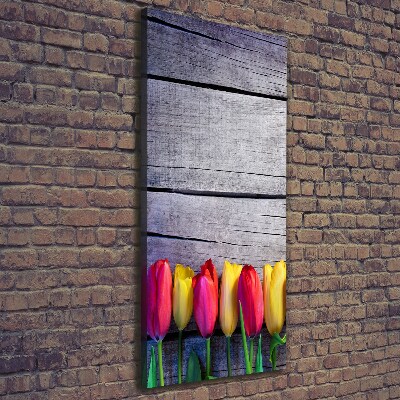 Wall canvas art Colorful tulips