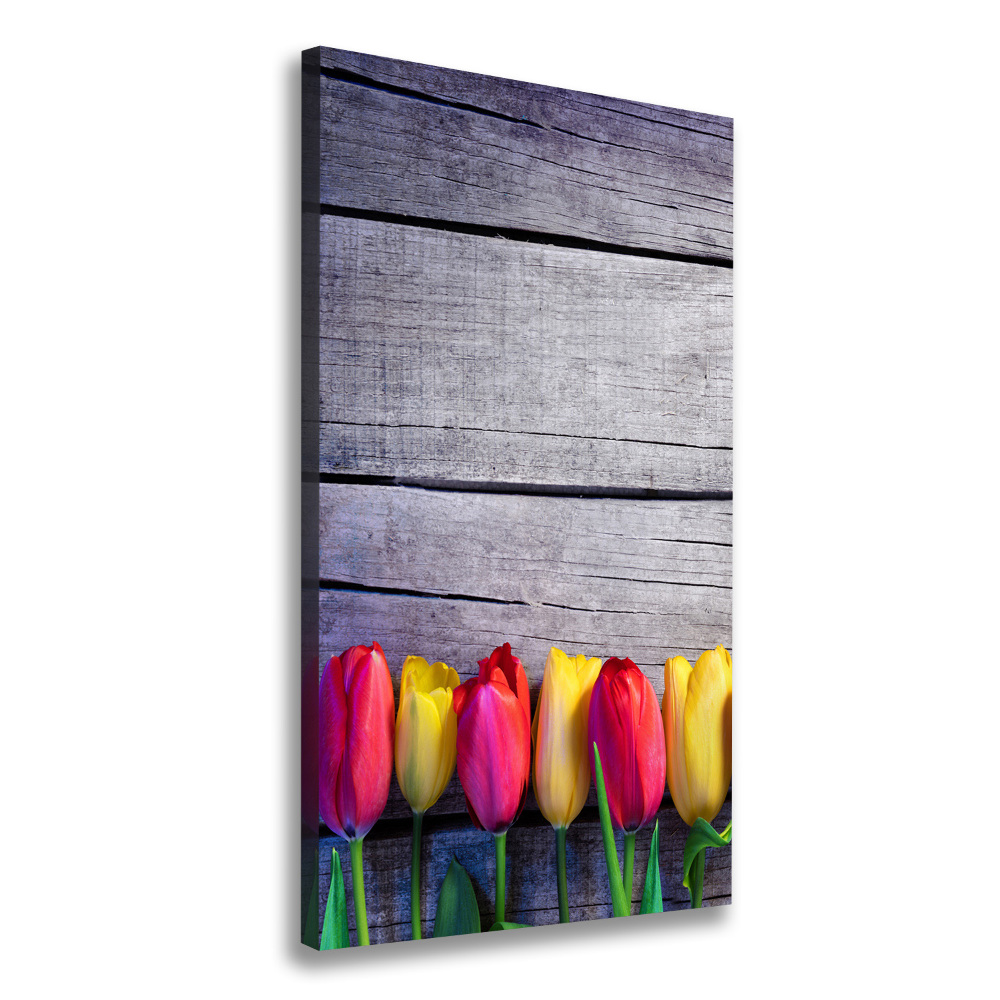 Wall canvas art Colorful tulips