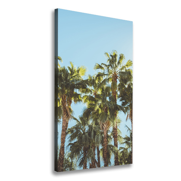 Large canvas wall art Palm trees