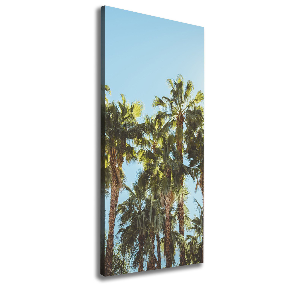 Large canvas wall art Palm trees