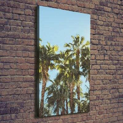 Large canvas wall art Palm trees