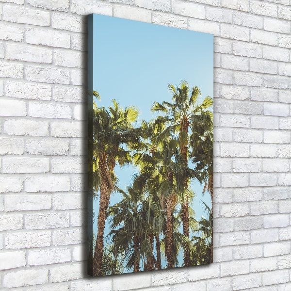 Large canvas wall art Palm trees