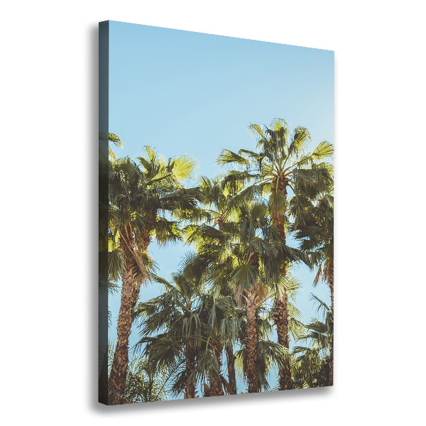 Large canvas wall art Palm trees