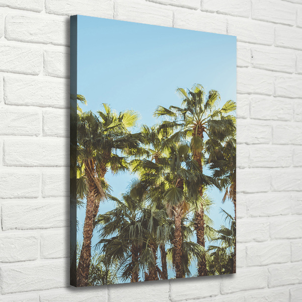 Large canvas wall art Palm trees