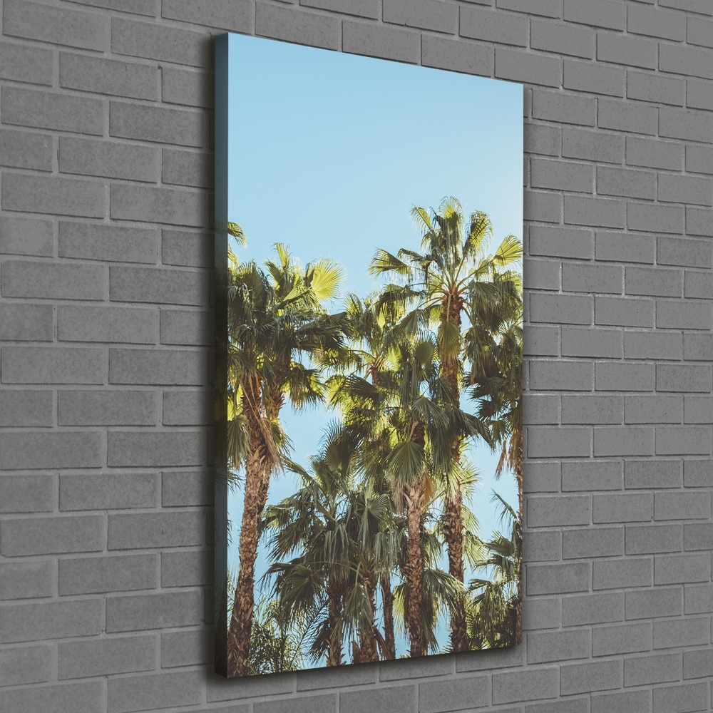 Large canvas wall art Palm trees