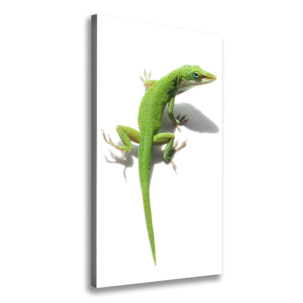 Large canvas wall art Green lizard