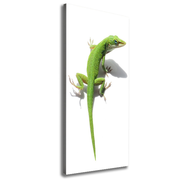 Large canvas wall art Green lizard