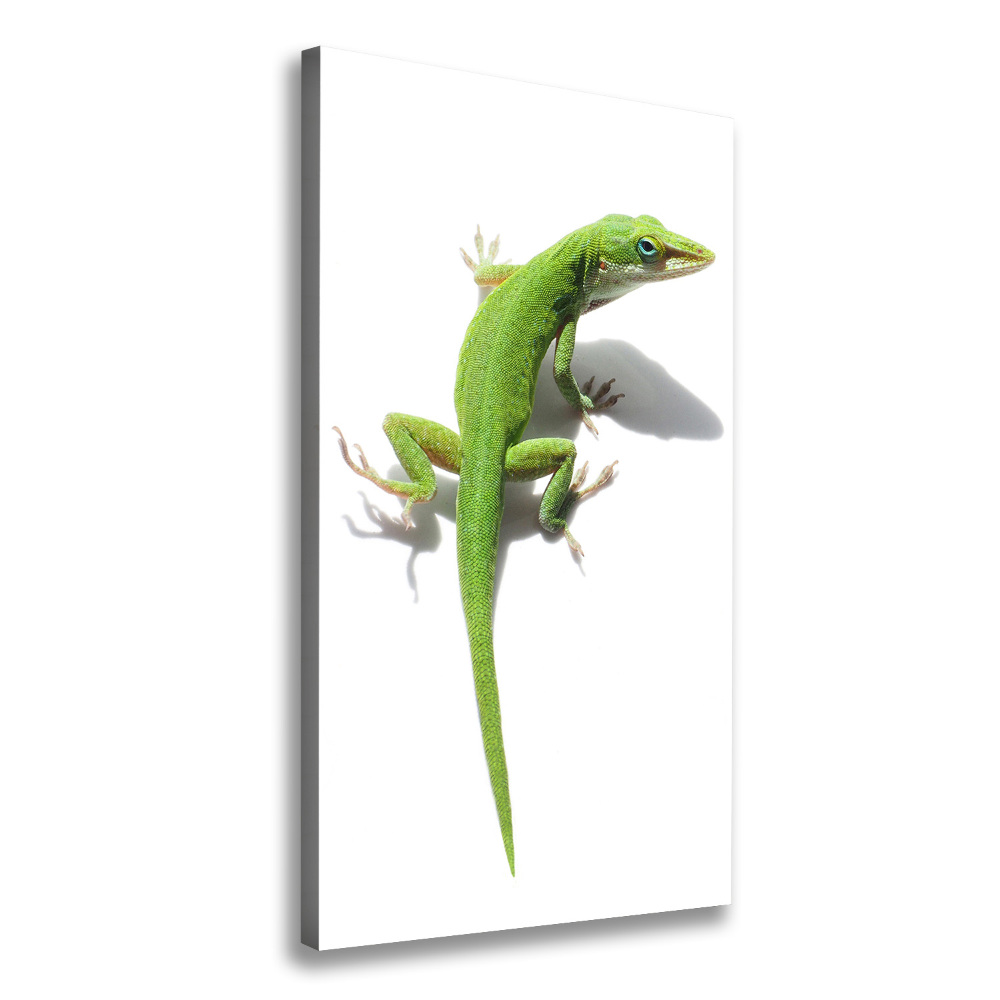 Large canvas wall art Green lizard