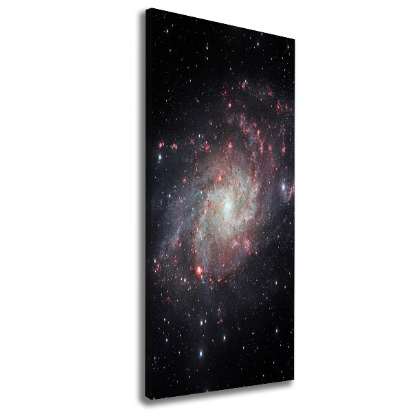 Canvas wall art Nebula