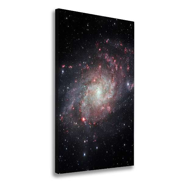 Canvas wall art Nebula