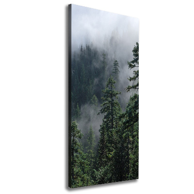 Large canvas wall art Fog over the forest