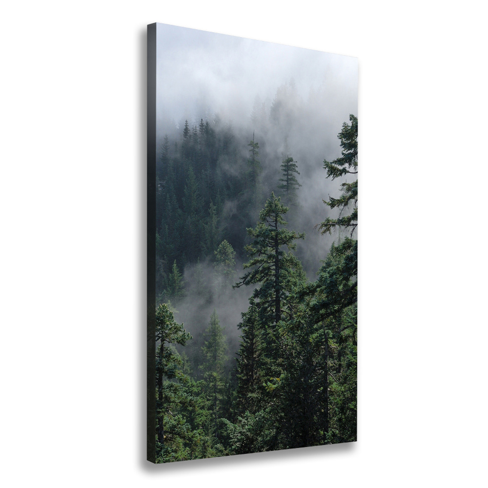 Large canvas wall art Fog over the forest