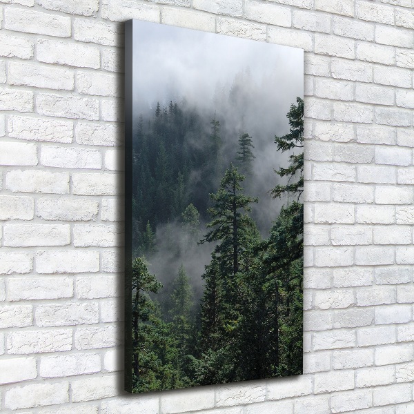 Large canvas wall art Fog over the forest