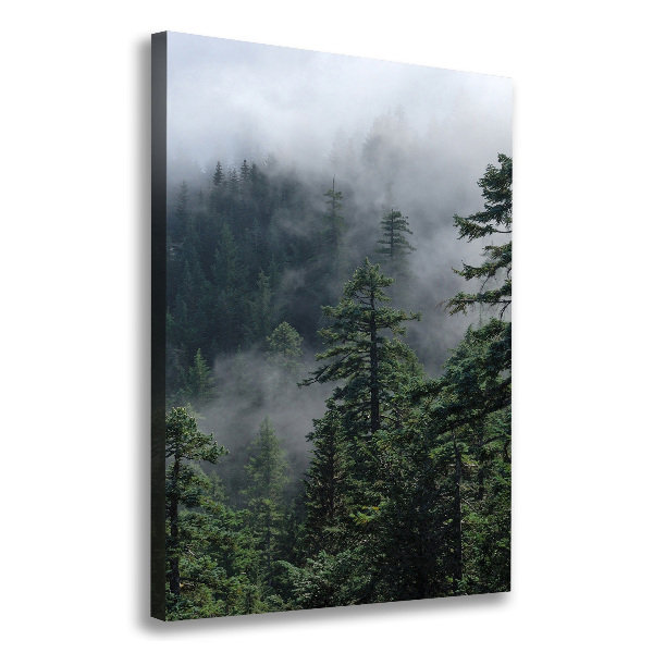 Large canvas wall art Fog over the forest