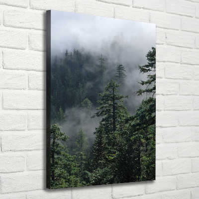 Large canvas wall art Fog over the forest