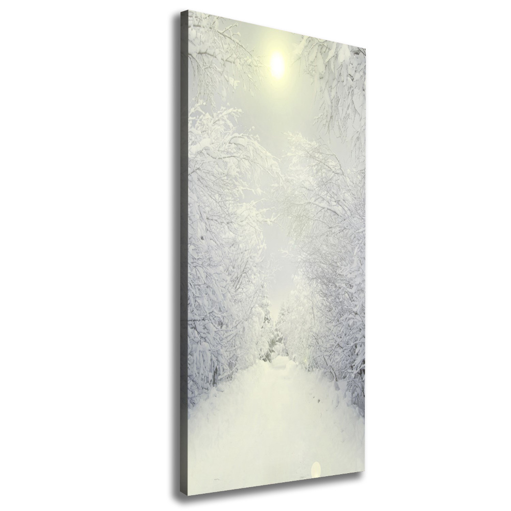 Canvas wall art Forest in winter