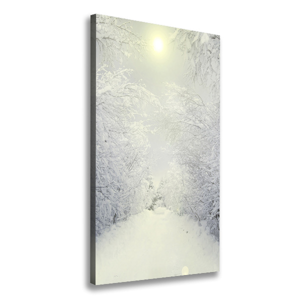 Canvas wall art Forest in winter