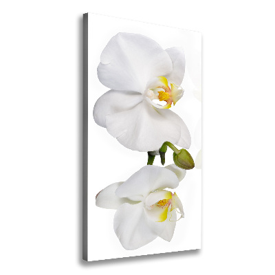 Wall canvas art White orchid