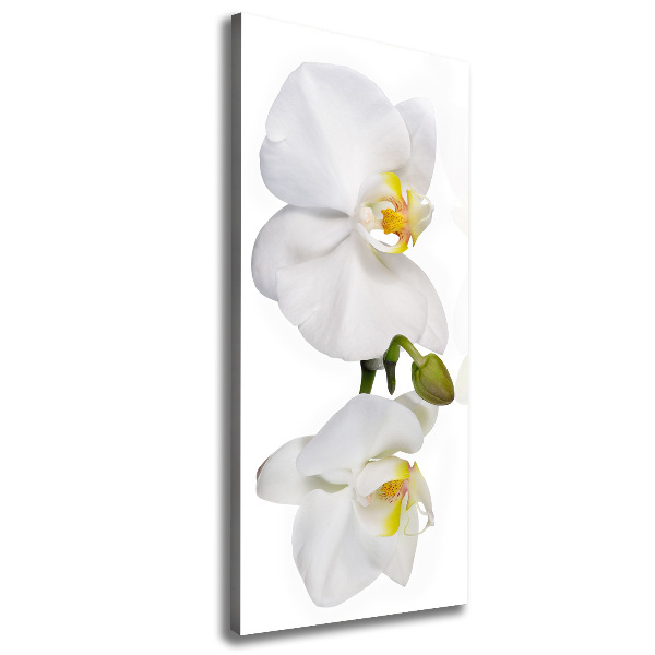 Wall canvas art White orchid