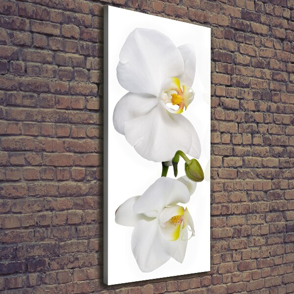 Wall canvas art White orchid