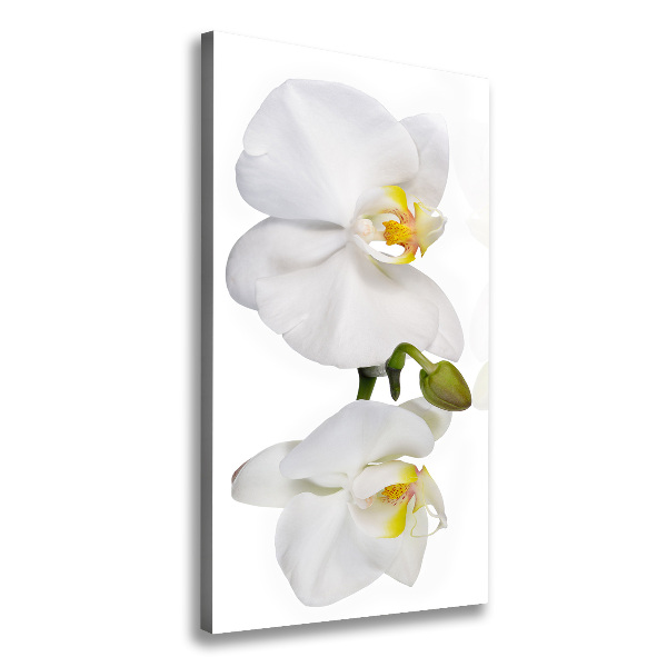 Wall canvas art White orchid