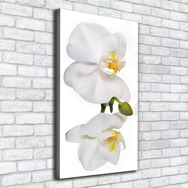 Wall canvas art White orchid