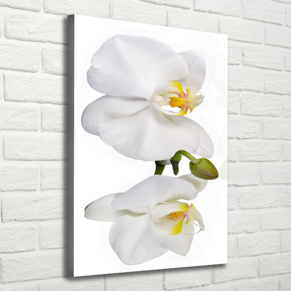 Wall canvas art White orchid