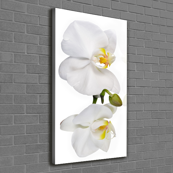 Wall canvas art White orchid