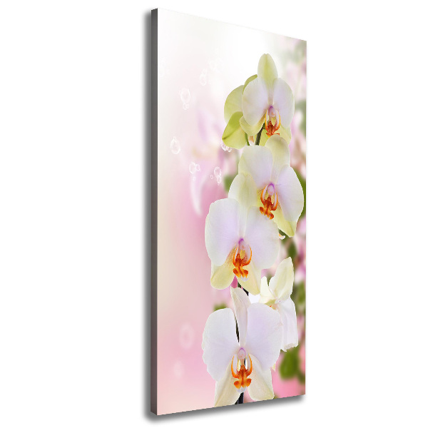 Canvas wall art White orchid