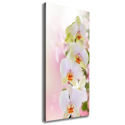 Canvas wall art White orchid