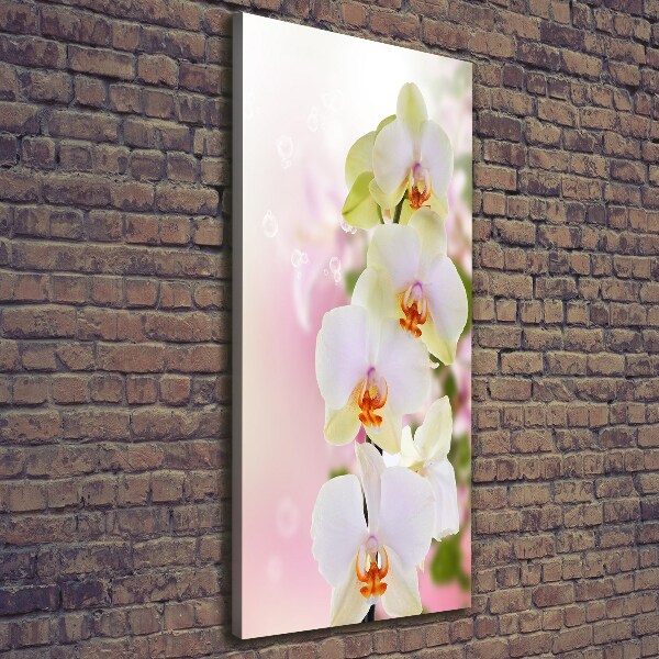 Canvas wall art White orchid