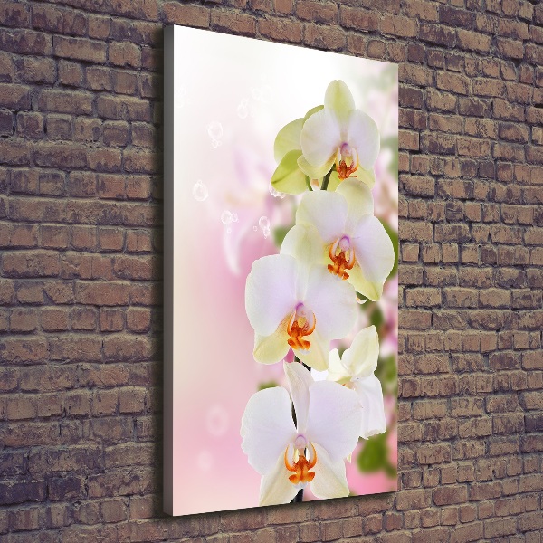 Canvas wall art White orchid