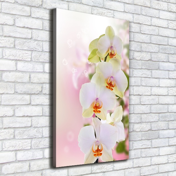 Canvas wall art White orchid