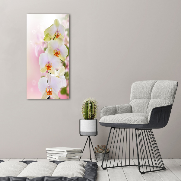 Canvas wall art White orchid