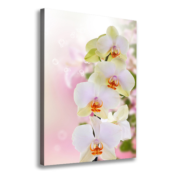 Canvas wall art White orchid