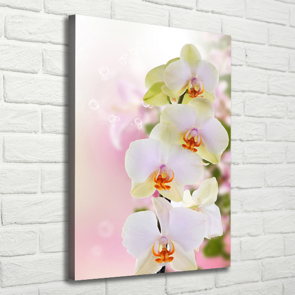 Canvas wall art White orchid