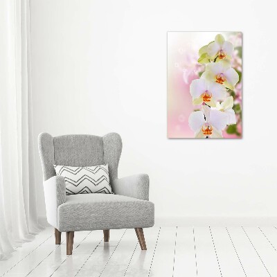 Canvas wall art White orchid