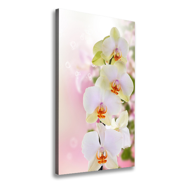 Canvas wall art White orchid