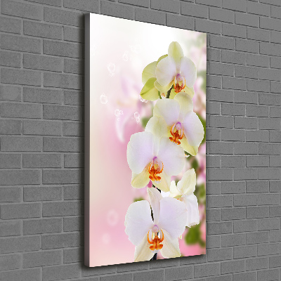 Canvas wall art White orchid